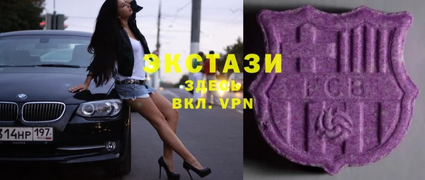 ECSTASY Алзамай