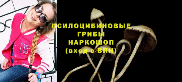 меф Алексин